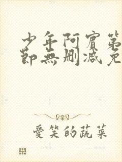 少年阿宾第一章节无删减免费阅读全文