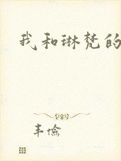 我和琳梵的故事