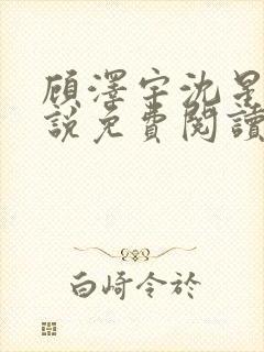 顾泽宇沈星晚小说免费阅读最新章节封面