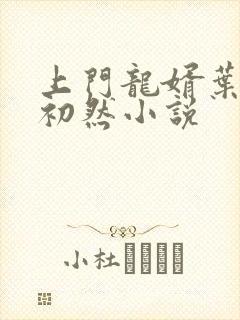 上门龙婿叶辰萧初然小说