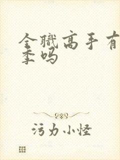 全职高手有第二季吗