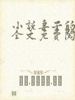 小说妻子的秘密全文免费阅读全文