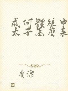 成何体统中的小太子怎么来的封面