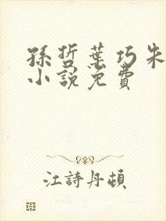 孙哲叶巧朱颜的小说免费