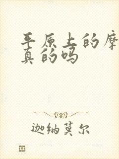 平原上的摩西是真的吗封面