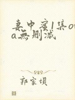 妻中蜜1集ova无删减