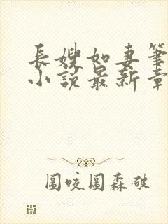 长嫂如妻笔趣阁小说最新章节