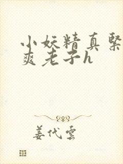 小妖精真紧h嘶爽老子h封面