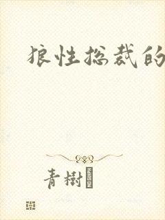 狼性总裁的尤物