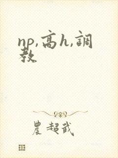 np,高h,调教封面