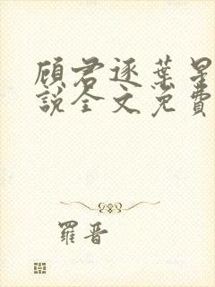 顾君逐叶星北小说全文免费阅读封面