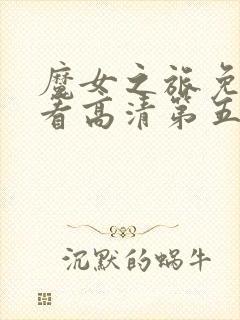 魔女之旅免费观看高清第五季