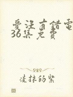 爱没有错电视剧36集免费