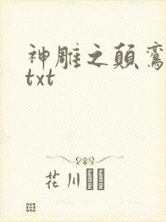 神雕之颠鸾倒凤txt