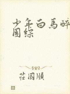 少年白马醉春风团综