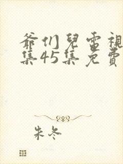 爷们儿电视剧全集45集免费西瓜