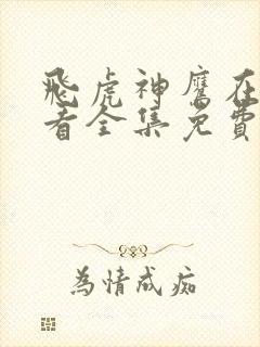 飞虎神鹰在线观看全集免费播放封面