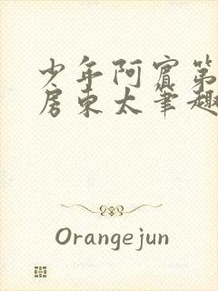 少年阿宾第一章房东太笔趣阁