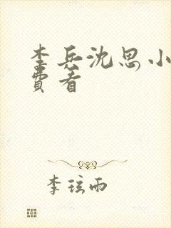 李兵沈思小说免费看封面