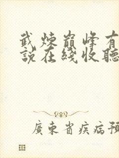 武炼巅峰有声小说在线收听