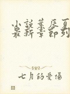 小说叶辰夏若雪最新章节列表最