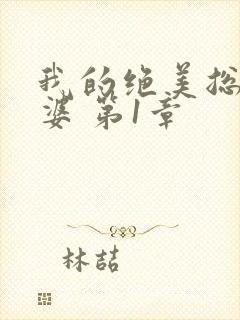 我的绝美总裁老婆 第1章