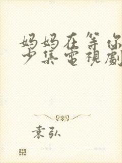 妈妈在等你有多少集电视剧