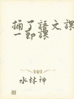 捅了语文课代表一节课封面