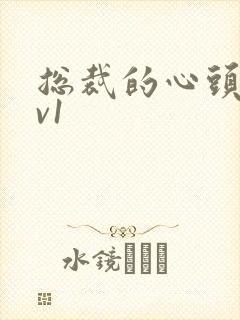 总裁的心头宝1v1