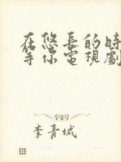 在悠长的时光里等你电视剧免费观看全集封面