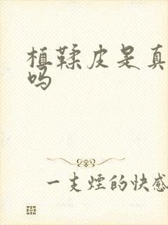 植鞣皮是真牛皮吗