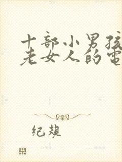 十部小男孩爱上老女人的电影封面