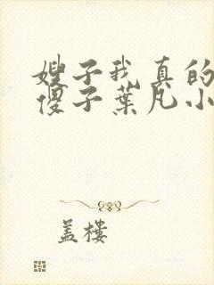 嫂子我真的不是傻子叶凡小说笔趣阁