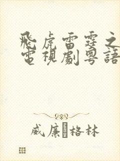 飞虎雷霆之极战电视剧粤语版