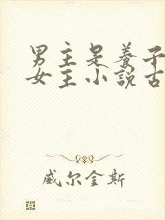 男主是养子爱上女主小说古言