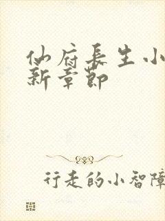 仙府长生小说最新章节