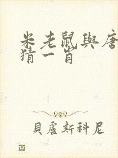 米老鼠与唐老鸭猜一肖