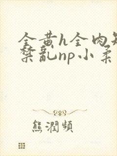 全黄h全肉短篇禁乱np小柔
