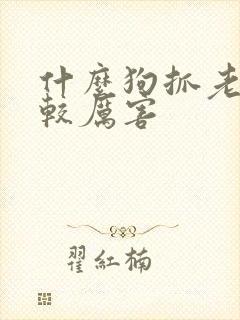 什么狗抓老鼠比较厉害封面