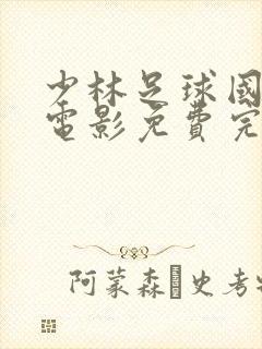 少林足球国语版电影免费完整版封面