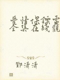 爱情保镖电视剧全集在线观看免费