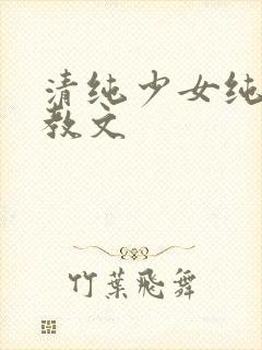 清纯少女纯肉调教文