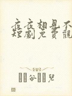 夜夜相见不识君短剧免费观看全集