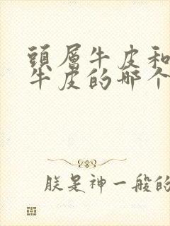 头层牛皮和二层牛皮的哪个好