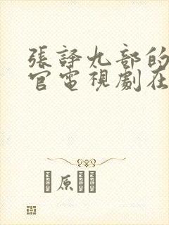 张译九部的检察官电视剧在线观看免费封面