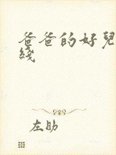 爸爸的好儿子在线封面