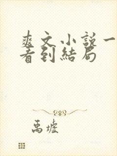爽文小说一口气看到结局