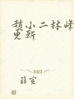 赵小二林峰最快更新