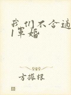 我们不合适1v1军婚封面