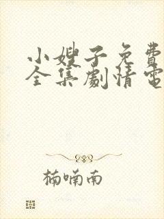 小嫂子免费观看全集剧情电视剧